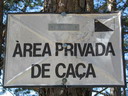 BALDIRI05101901.jpg