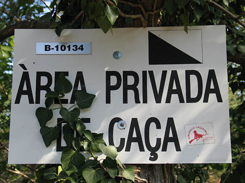 BALDIRI05101902.jpg