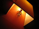 llum (i) : BALDIRI05111701.jpg