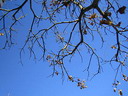 BALDIRI05123001.jpg