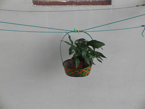 BALDIRI06020501.jpg