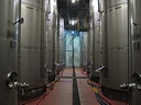 BALDIRI06022001.jpg