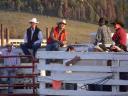 baldiri : cowboys : BALDIRI06061102.jpg