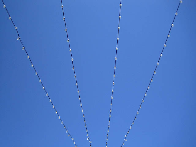 baldiri : blau : BALDIRI06062401.jpg