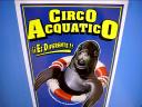 baldiri : circo acquatico : BALDIRI06111201.jpg