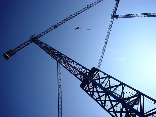 baldiri : blue cranes : BALDIRI06112101.jpg