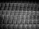 baldiri : grid : BALDIRI06120401.jpg