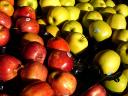 baldiri : pomes : BALDIRI07012401.jpg