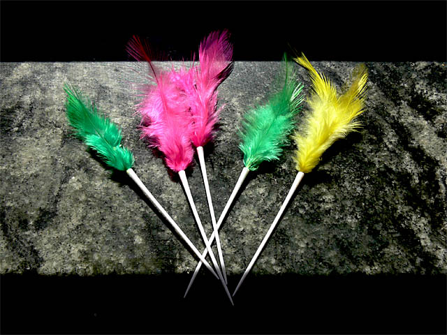baldiri : the feathers : BALDIRI07040901.jpg